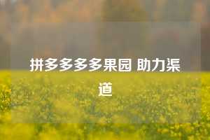 拼多多多多果园 助力渠道