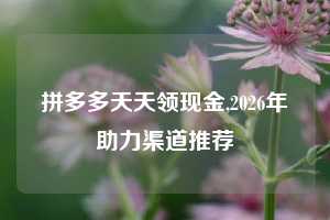 拼多多天天领现金,2026年助力渠道推荐