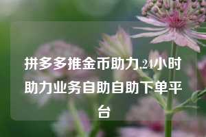 拼多多推金币助力,24小时助力业务自助自助下单平台