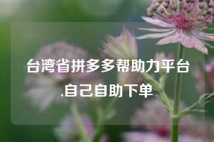 台湾省拼多多帮助力平台,自己自助下单