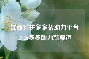 江西省拼多多帮助力平台,2026多多助力新渠道