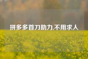 拼多多首刀助力,不用求人