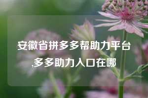 安徽省拼多多帮助力平台,多多助力入口在哪