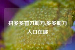 拼多多首刀助力,多多助力入口在哪