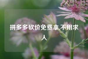 拼多多砍价免费拿,不用求人