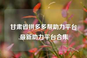 甘肃省拼多多帮助力平台,最新助力平台合集