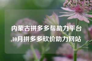 内蒙古拼多多帮助力平台,10月拼多多砍价助力网站