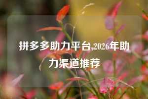 拼多多助力平台,2026年助力渠道推荐