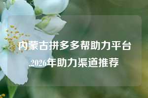 内蒙古拼多多帮助力平台,2026年助力渠道推荐