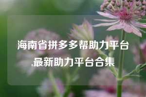 海南省拼多多帮助力平台,最新助力平台合集