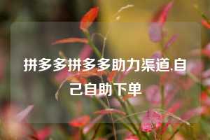 拼多多拼多多助力渠道,自己自助下单