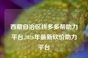 西藏自治区拼多多帮助力平台,2026年最新砍价助力平台