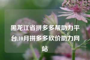 黑龙江省拼多多帮助力平台,10月拼多多砍价助力网站