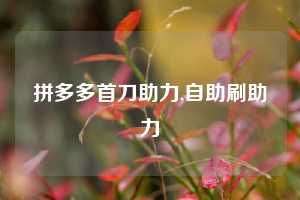 拼多多首刀助力,自助刷助力