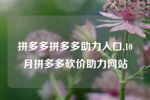 拼多多拼多多助力入口,10月拼多多砍价助力网站