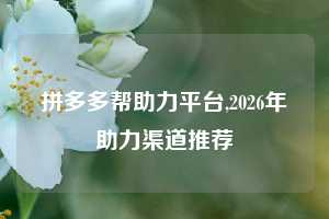 拼多多帮助力平台,2026年助力渠道推荐