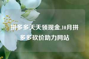 拼多多天天领现金,10月拼多多砍价助力网站