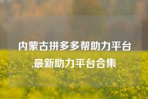 内蒙古拼多多帮助力平台,最新助力平台合集