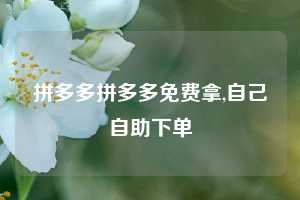 拼多多拼多多免费拿,自己自助下单