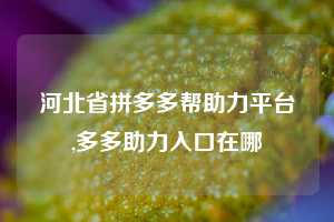 河北省拼多多帮助力平台,多多助力入口在哪