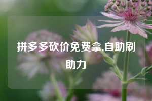 拼多多砍价免费拿,自助刷助力