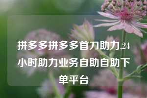 拼多多拼多多首刀助力,24小时助力业务自助自助下单平台