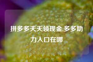 拼多多天天领现金,多多助力入口在哪