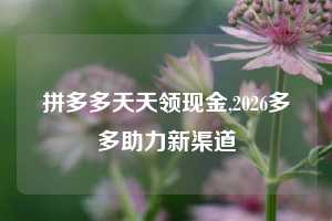 拼多多天天领现金,2026多多助力新渠道