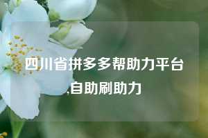 四川省拼多多帮助力平台,自助刷助力