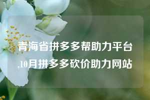 青海省拼多多帮助力平台,10月拼多多砍价助力网站