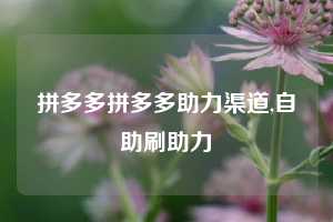 拼多多拼多多助力渠道,自助刷助力