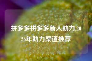 拼多多拼多多新人助力,2026年助力渠道推荐