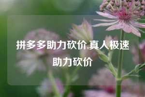 拼多多助力砍价,真人极速助力砍价