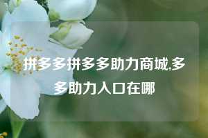 拼多多拼多多助力商城,多多助力入口在哪
