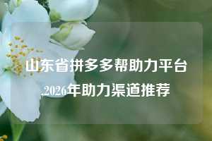 山东省拼多多帮助力平台,2026年助力渠道推荐