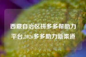 西藏自治区拼多多帮助力平台,2026多多助力新渠道