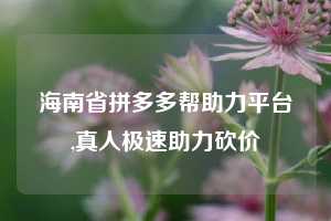 海南省拼多多帮助力平台,真人极速助力砍价