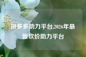 拼多多助力平台,2026年最新砍价助力平台