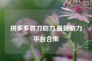 拼多多首刀助力,最新助力平台合集