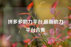 拼多多助力平台,最新助力平台合集