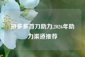 拼多多首刀助力,2026年助力渠道推荐