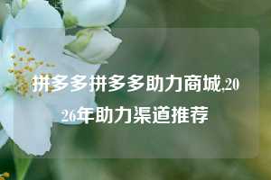 拼多多拼多多助力商城,2026年助力渠道推荐