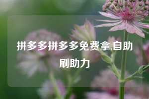 拼多多拼多多免费拿,自助刷助力