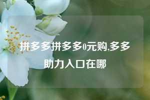 拼多多拼多多0元购,多多助力入口在哪