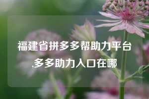 福建省拼多多帮助力平台,多多助力入口在哪