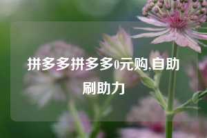 拼多多拼多多0元购,自助刷助力