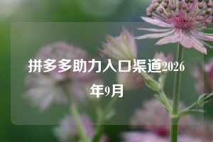 拼多多助力入口渠道2026年9月