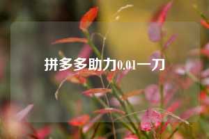 拼多多助力0.01一刀