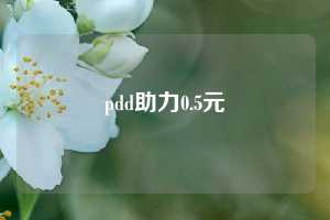 pdd助力0.5元