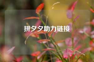 拼夕夕助力链接